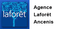 Agence immobilière Laforêt Ancenis - 44